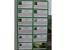 ����������� 162.jpg