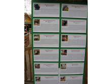 ����������� 163.jpg