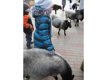 ����������� 165.jpg