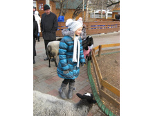 ����������� 166.jpg