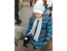 ����������� 167.jpg