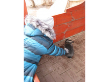 ����������� 168.jpg