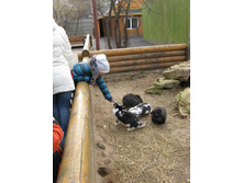 ����������� 171.jpg