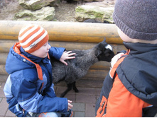 ����������� 173.jpg