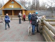 ����������� 174.jpg