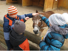 ����������� 176.jpg