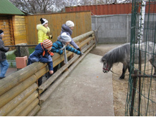 ����������� 177.jpg