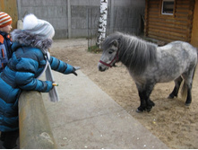 ����������� 178.jpg