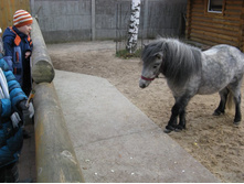 ����������� 179.jpg