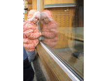 ����������� 181.jpg