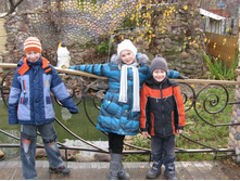 ����������� 183.jpg