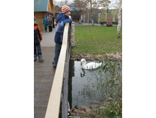 ����������� 185.jpg