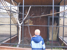 ����������� 186.jpg