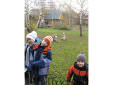 ����������� 187.jpg