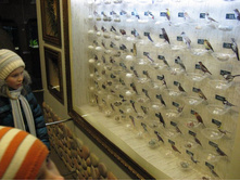 ����������� 189.jpg