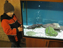 ����������� 190.jpg