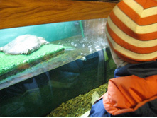 ����������� 191.jpg