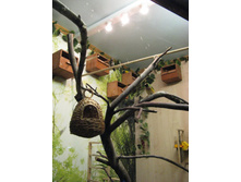 ����������� 192.jpg