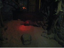 ����������� 193.jpg