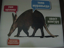 ����������� 194.jpg