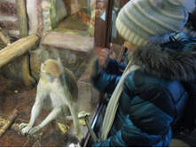 ����������� 195.jpg