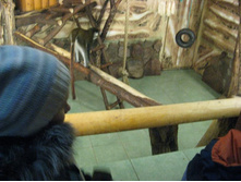 ����������� 196.jpg