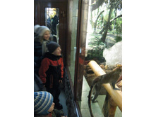 ����������� 198.jpg