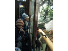 ����������� 199.jpg