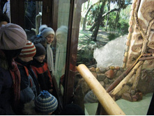 ����������� 201.jpg