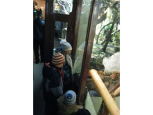 ����������� 202.jpg