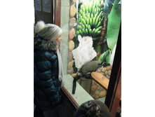 ����������� 203.jpg