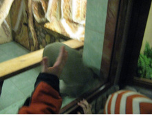 ����������� 205.jpg