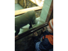 ����������� 206.jpg