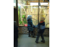 ����������� 208.jpg