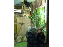 ����������� 209.jpg