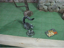 ����������� 210.jpg