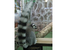 ����������� 211.jpg