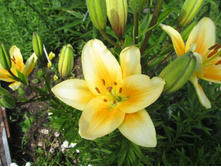 ������ 014.jpg