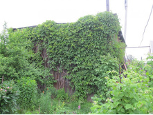 ������� ��������, �� 30 �� 100 �