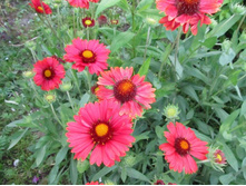 ��������� ��������, 80 �.