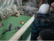 ����������� 212.jpg