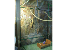 ����������� 213.jpg