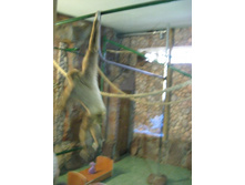 ����������� 216.jpg