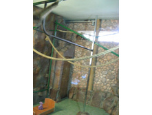 ����������� 217.jpg