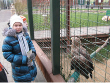 ����������� 219.jpg