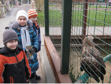 ����������� 220.jpg