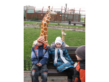 ����������� 221.jpg