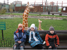 ����������� 222.jpg