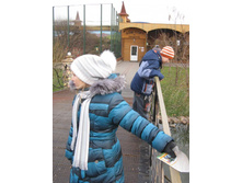 ����������� 225.jpg