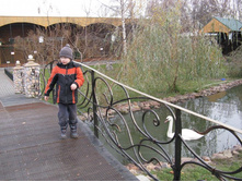 ����������� 226.jpg